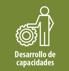 Desarrollo de capacidades