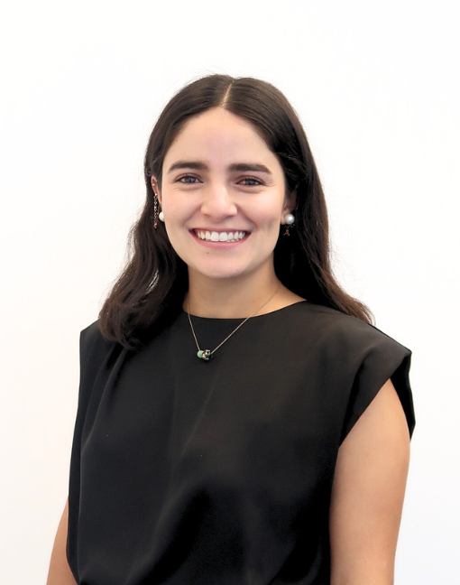 Promotora Social México