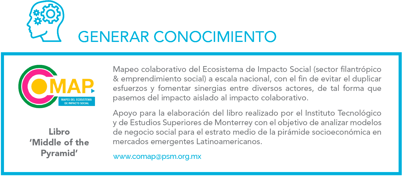 Promotora Social México