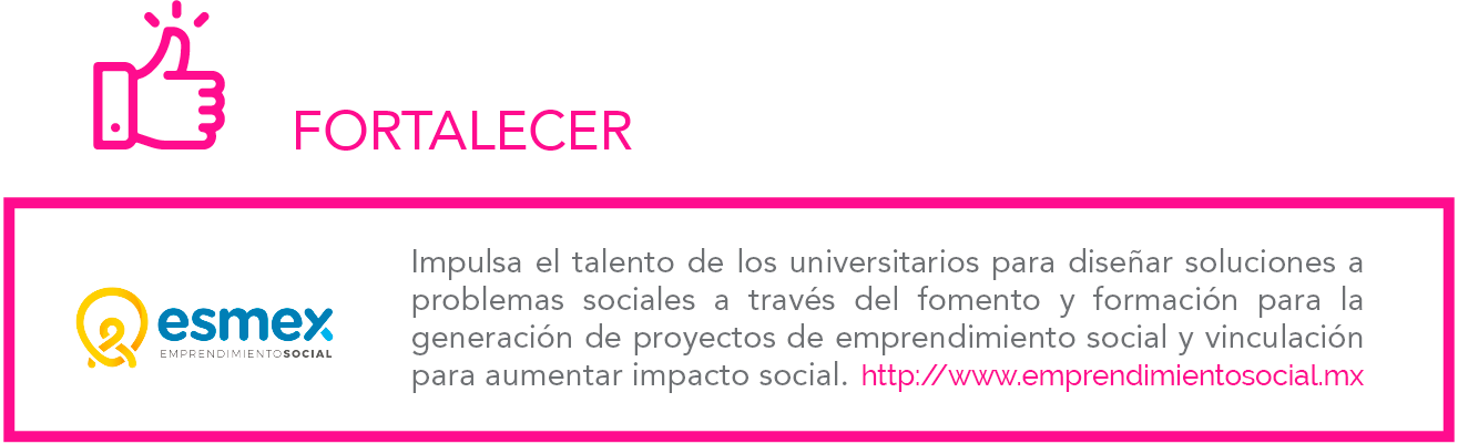 Promotora Social México